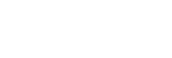 birnetlogob